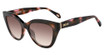 Just Cavalli Eyeglasses SJC173 BROWN/PINK HAVANA