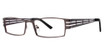 Eye Q Eyewear Eyeglasses AP164 Gunmetal