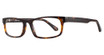 Eight to Eighty Eyewear Eyeglasses Tim Tortoise