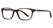 Takumi TK904 Clr Drk Chocolate/10