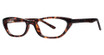 Modern Plastics II Eyeglasses Belong tortoise