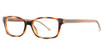 K12 Eyeglasses 4604 Tortoise/Amber