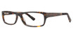 Elan Collection 3715 Tortoise