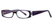 Eye Q Eyewear SW443 Purple