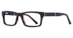 Elan Collection Eyeglasses 3022 Tortoise/Black