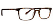 Life is Good Eyeglasses Quentin Tortoise/TOR