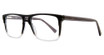 Eye Q Eyewear Eyeglasses MP405 Grey/CHARCOAL