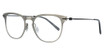 Aspire Eyeglasses Brave Silver Brushed