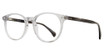Global Optique Eyeglasses TF1120 GRAY
