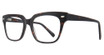 Global Optique Eyeglasses PB855 TORTOISE
