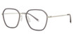 Paradigm Eyeglasses 19-13 Silver/SI