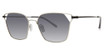 Paradigm Eyeglasses 20-50 Silver/SI