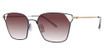 Paradigm Eyeglasses 20-50 Midnight/MI