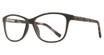 Eye Q Eyewear Eyeglasses SW455 BLACK/BLACK