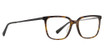 Life is Good Eyeglasses Maxwell Tortoise/TOR