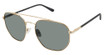 Champion Eyeglasses CUBASK GOLD/BLACK/C01