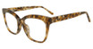 DIFF Eyeglasses Winston Sea Tortoise