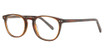 Your Brand Eyewear 355 Tortoise/02