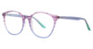 NW77th Eyeglasses Happy Socks PLUMBERRY/PB