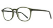 Eye Q Eyewear Eyeglasses TOTTENHAM Crystal Olive
