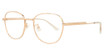 Bottega Veneta BV1044O GOLD-GOLD-TRANSPARENT/001