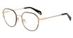 Police Eyeglasses VPLF26 Black/Gold 0301
