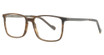 Esquire Eyeglasses 1618 Brown Wave