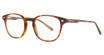 Pepe Jeans Eyeglasses PJ7416 Honey Marble/C-11