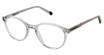 AÉROPOSTALE Eyeglasses Foxes Grey/GREY