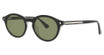 Web Eyeglasses WE0337 black/crystal / green/03N