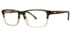 Elliott Ives Eyeglasses Arrowleaf Brown Horn/BN