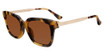 DIFF Eyeglasses SDFBLLA Brown Kombu 0TOR