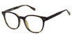 New Globe Eyeglasses M451 Green Tort/GREEN TORT