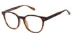 New Globe Eyeglasses M451 Tortoise/TORTOISE