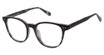 New Globe Eyeglasses M451 Black Tort/BLACK TORT