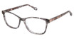 FYSH Eyeglasses FYSH 3767 BLACK FEATHER/S400