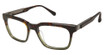 Barbour Eyeglasses BAOM020 tortoise olive/TOR