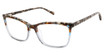 Ted Baker Eyeglasses TWXL001 tortoise/TOR