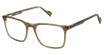Ben Sherman Eyeglasses MONKWELL BROWN CRYSTAL/C02