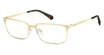 Polaroid Eyeglasses PLD D583/G/US GOLD/0J5G