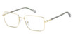 Polaroid Eyeglasses PLD D582/G GOLD/0J5G