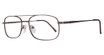 Eight to Eighty Eyewear Eyeglasses Hornet Brown
