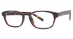 Eye Q Eyewear Eyeglasses SW337 Amber