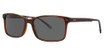Izod 781 COFFEE BROWN