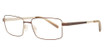 Esquire Eyeglasses 8655 BROWN