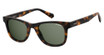 Polaroid Eyeglasses PLD 1016/S/NEW HVN/0086