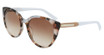 Cole Haan Eyeglasses CH7085 BROWN TORTOISE/210