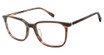 Sperry Eyeglasses FLYNN BROWN HORN/C02