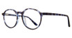 Brooklyn Heights Eyewear Eyeglasses Bamonte Blue