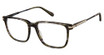 Cremieux Eyeglasses Monceau Forest/FOREST
